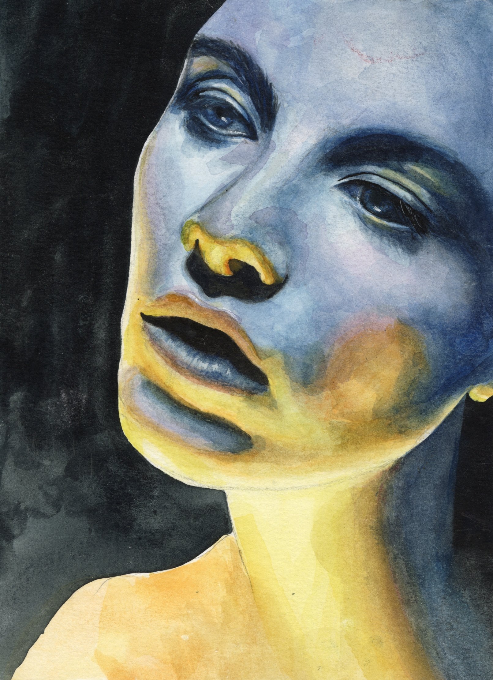 Watercolor blueface by Haley Goetting