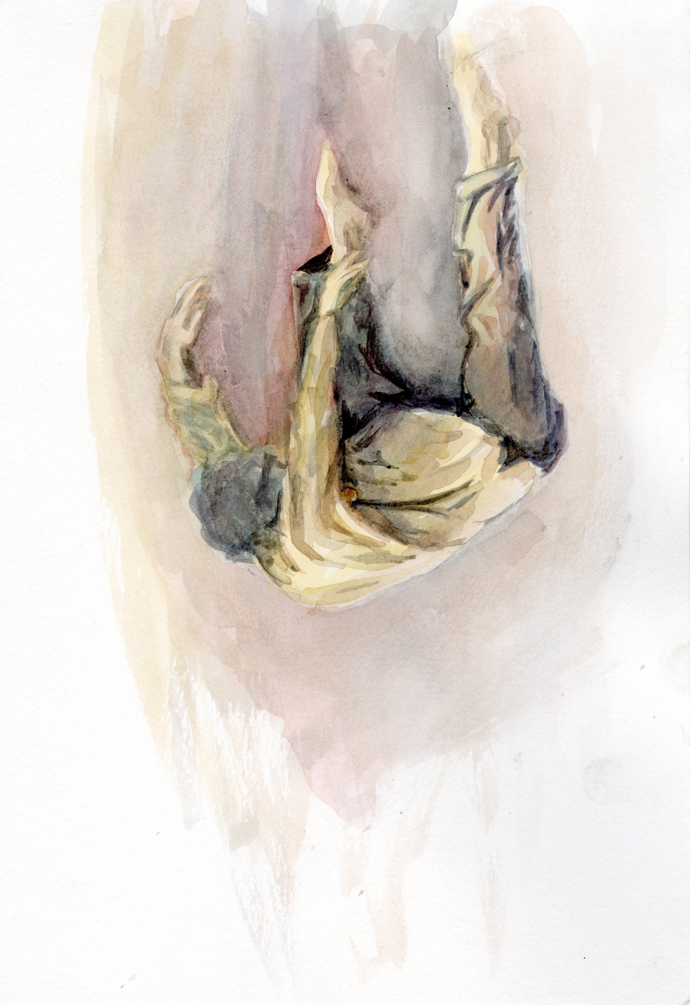 Watercolor fall by Haley Goetting