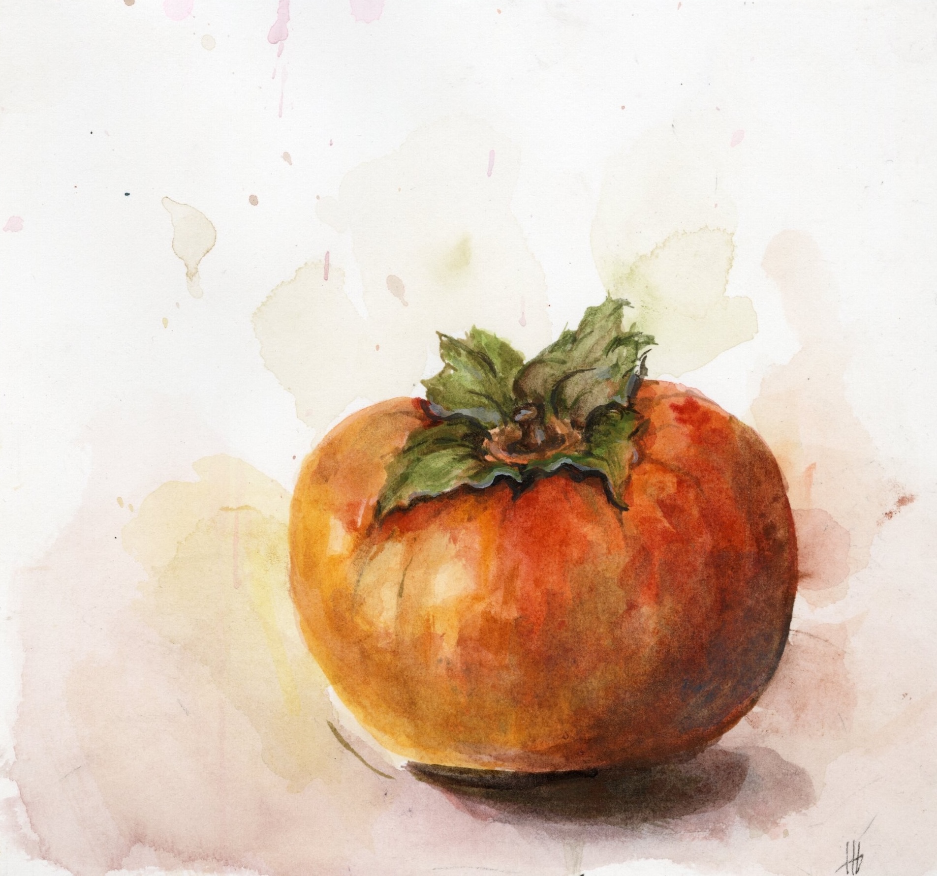 Watercolor persimmon by Haley Goetting